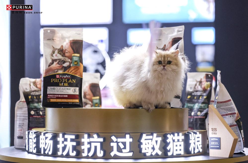 能携宠物全生命周期健康解决方案闪耀它博会pg电子模拟器免费版科学营养、一生免疫冠(图1)